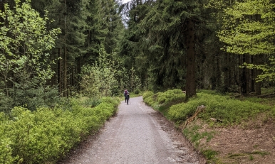 Wandern in Friedrichroda. Thüringen entdecken und genießen.